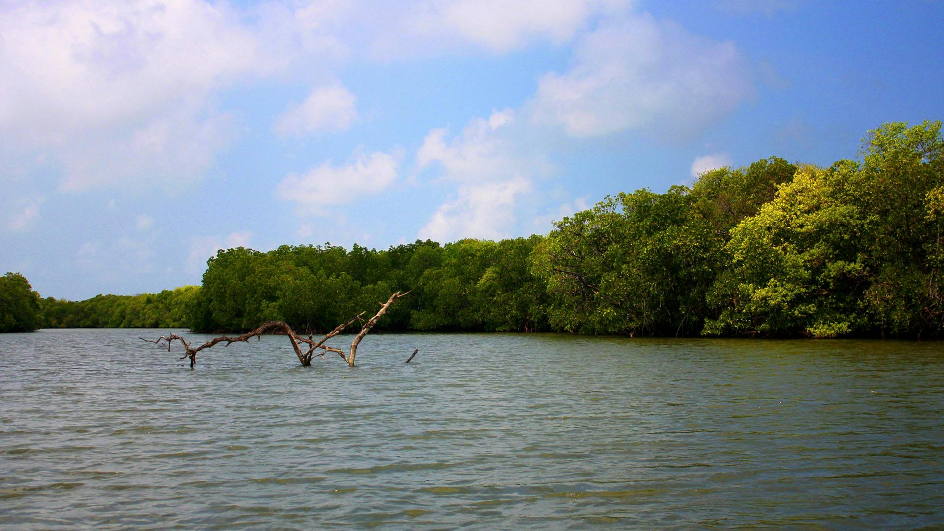 Monkey Island tour in Negombo