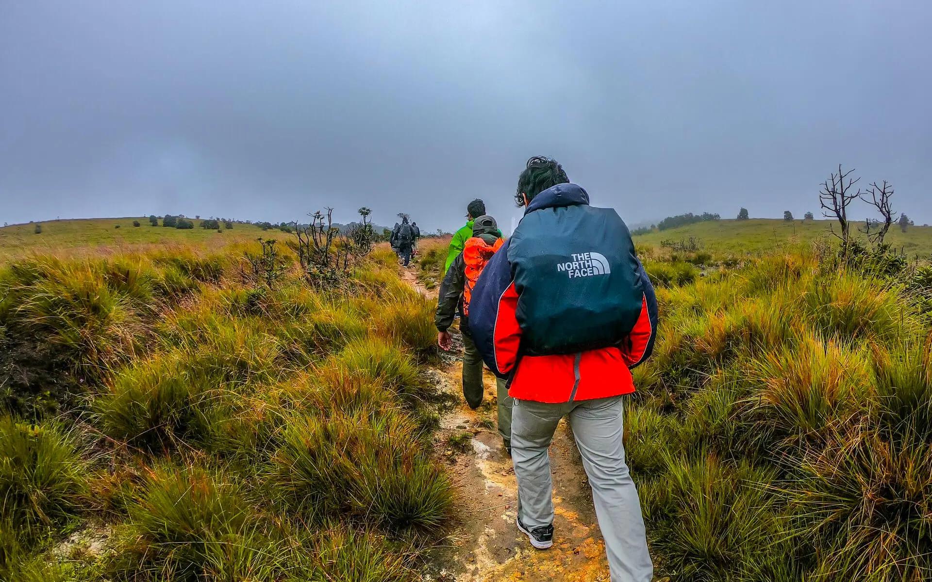 A Hike through the Nature Trail of Horton Plains