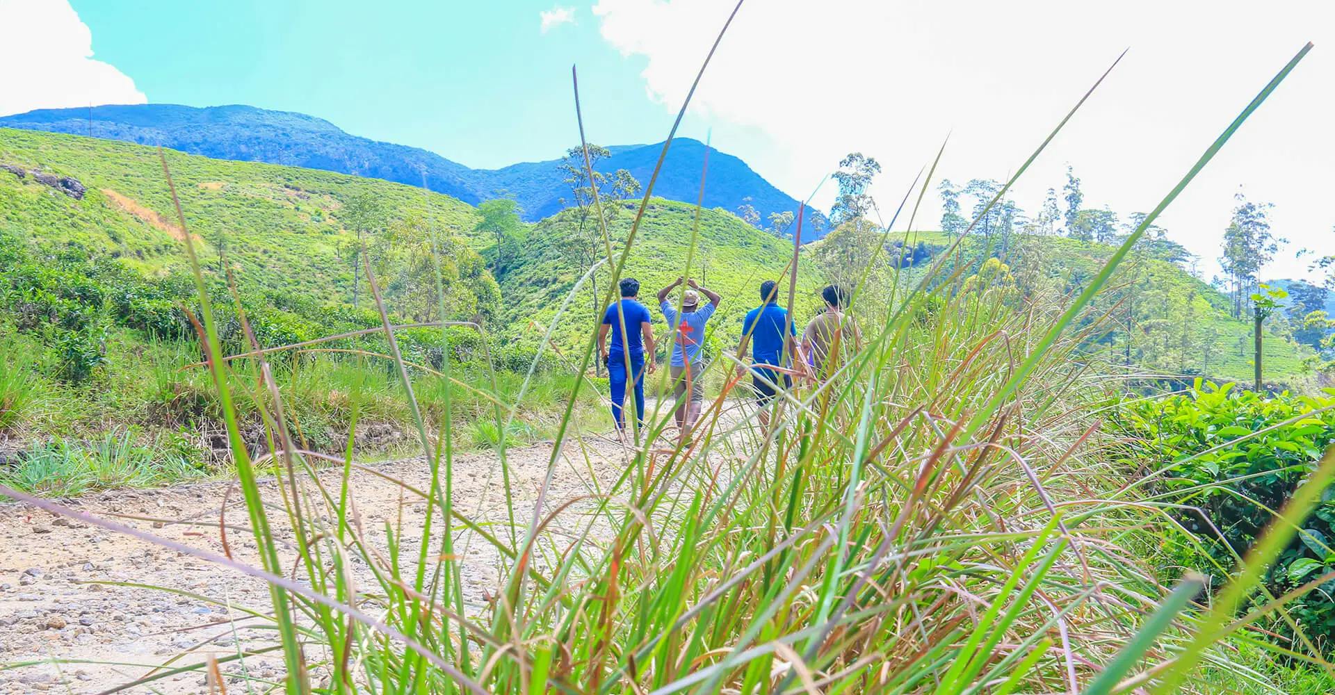 A Hike to the Famous Leopard Rock