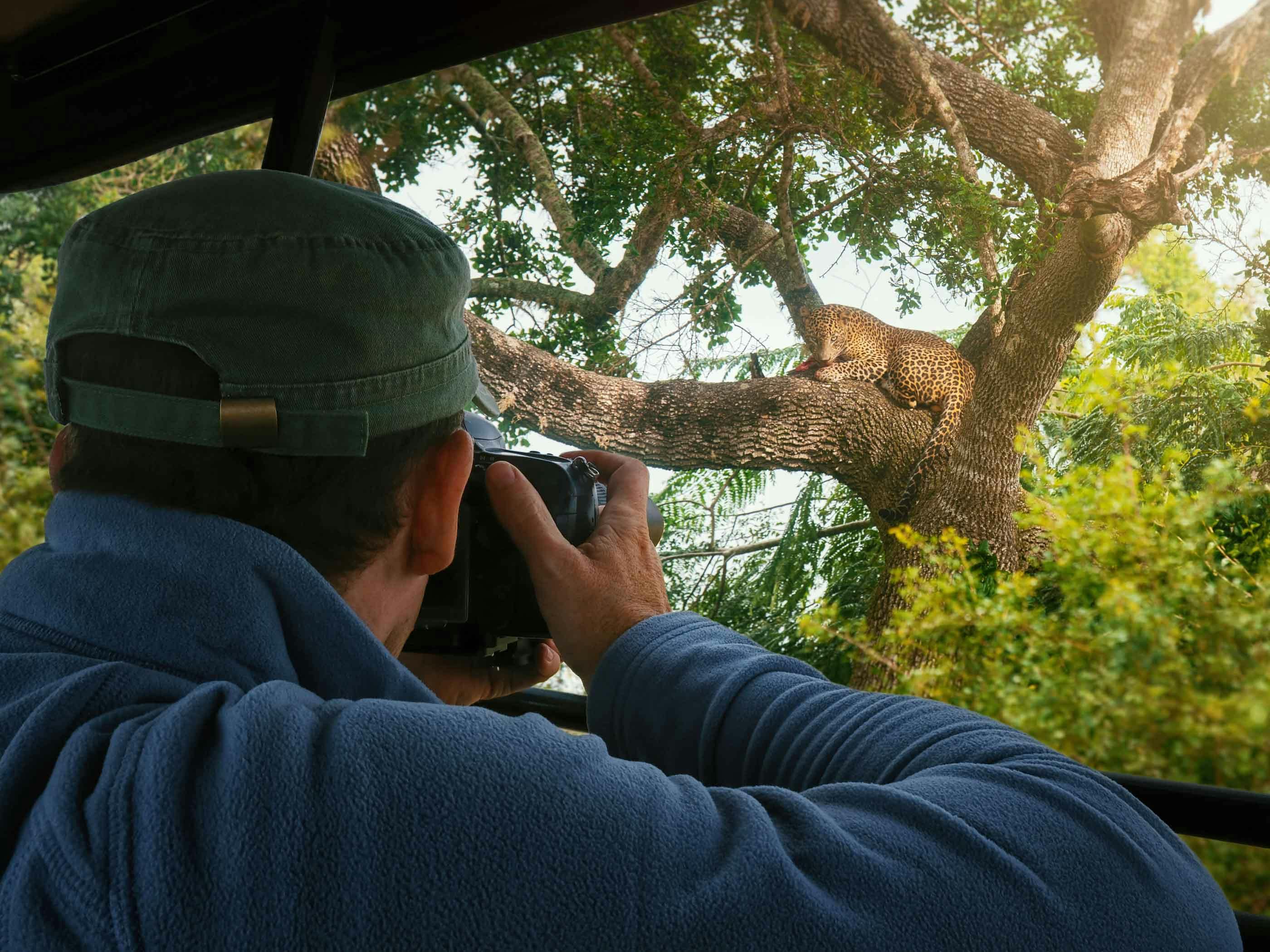 Full day Jeep Safari in Wilpattu National Park