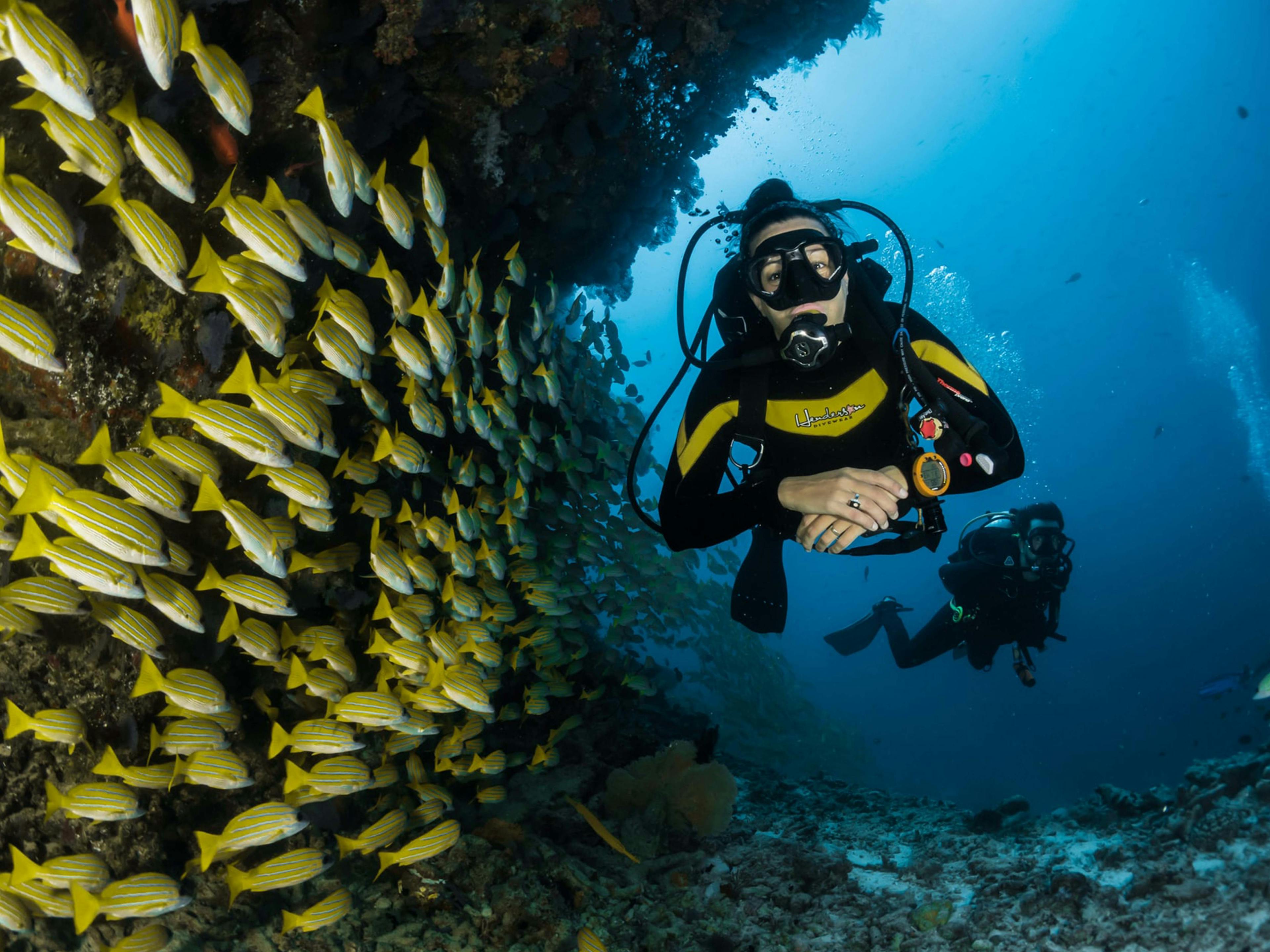 PADI Open Water Diver Course in Nilaveli