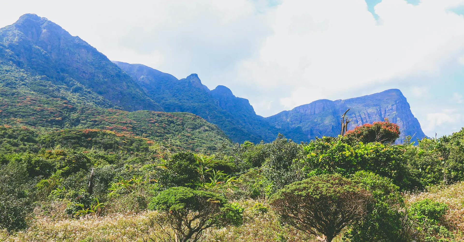 A Hike to the peaks of the Knuckles Mountain Range